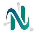 Nahshon Logo