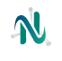 Nahshon Logo